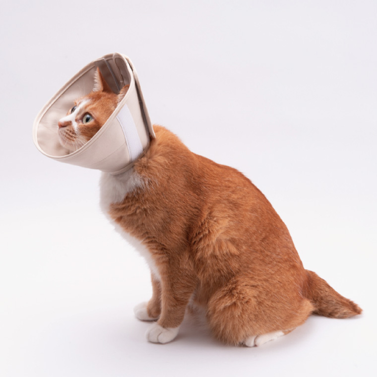 ぽぽねこ 軽くて柔らかい猫用エリザベスカラー 傷口が見えにくい・ソフト・軽量タイプ(BP013)
