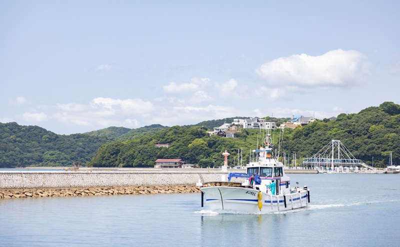 しらす干し 食べきり 小分けパック 大容量 お徳用 35g×20袋 700g 瀬戸内海産 【しらす しらす干し 釜揚げ 太白ちりめん ちりめんじゃこ 牛窓しらす しらす丼 ごはん ごはんのお供 食べ切り  小分け 岡山県 瀬戸内市 牛窓  服部水産】