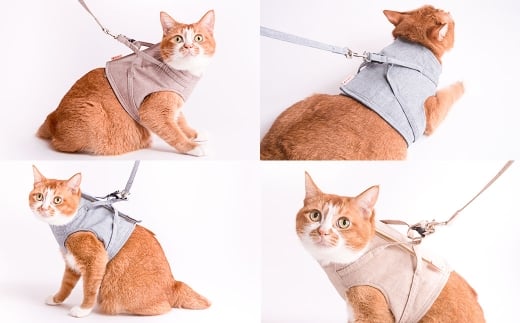 【Sサイズ】ぽぽねこ 猫に優しいベスト型ハーネス・リード付き（国産・オーガニックコットン・着せやすく脱げにくい）「共通返礼品」 | 全8色 ハーネス リード ペット ペット用品 ねこ ネコ 茨城県 守谷市