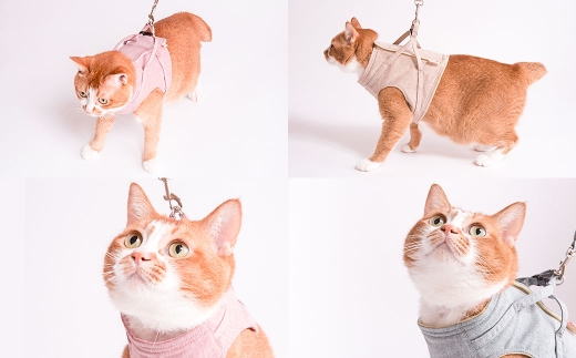 【Sサイズ】ぽぽねこ 猫に優しいベスト型ハーネス・リード付き（国産・オーガニックコットン・着せやすく脱げにくい）「共通返礼品」 | 全8色 ハーネス リード ペット ペット用品 ねこ ネコ 茨城県 守谷市