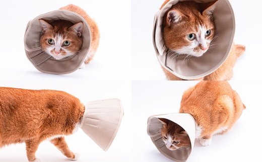 【Lサイズ】ぽぽねこ 軽くて柔らかい猫用エリザベスカラー 傷口が見えにくい・ソフト・軽量タイプ「共通返礼品」 | 布製 防汚 撥水 撥油素材 エリザベスカラー ペット ペット用品 ねこ ネコ 茨城県 守谷市