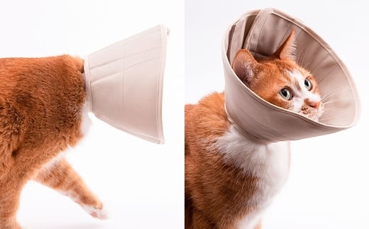 【Lサイズ】ぽぽねこ 軽くて柔らかい猫用エリザベスカラー 傷口が見えにくい・ソフト・軽量タイプ「共通返礼品」 | 布製 防汚 撥水 撥油素材 エリザベスカラー ペット ペット用品 ねこ ネコ 茨城県 守谷市