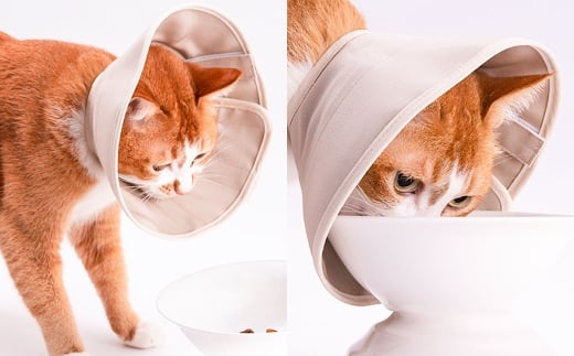 【Lサイズ】ぽぽねこ 軽くて柔らかい猫用エリザベスカラー 傷口が見えにくい・ソフト・軽量タイプ「共通返礼品」 | 布製 防汚 撥水 撥油素材 エリザベスカラー ペット ペット用品 ねこ ネコ 茨城県 守谷市