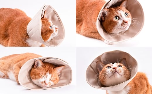 【LLサイズ】ぽぽねこ 軽くて柔らかい猫用エリザベスカラー 傷口が見えにくい・ソフト・軽量タイプ「共通返礼品」 | 布製 防汚 撥水 撥油素材 エリザベスカラー ペット ペット用品 ねこ ネコ 茨城県 守谷市