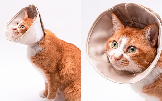 【LLサイズ】ぽぽねこ 軽くて柔らかい猫用エリザベスカラー 傷口が見えにくい・ソフト・軽量タイプ「共通返礼品」 | 布製 防汚 撥水 撥油素材 エリザベスカラー ペット ペット用品 ねこ ネコ 茨城県 守谷市