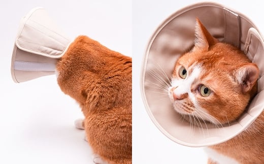 【LLサイズ】ぽぽねこ 軽くて柔らかい猫用エリザベスカラー 傷口が見えにくい・ソフト・軽量タイプ「共通返礼品」 | 布製 防汚 撥水 撥油素材 エリザベスカラー ペット ペット用品 ねこ ネコ 茨城県 守谷市
