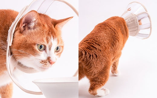 【Mサイズ】ぽぽねこ 軽くて柔らかい猫用エリザベスカラー 視界良好・ソフト・軽量タイプ「共通返礼品」 | 布製 防汚 撥水 撥油素材 エリザベスカラー ペット ペット用品 ねこ ネコ 茨城県 守谷市