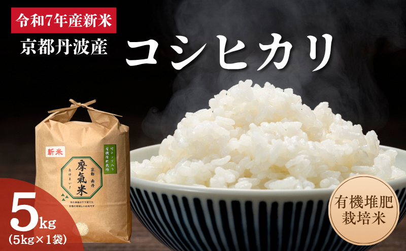 ys{Oszߘa7NYV L@͔͔| Ђ  5kg |   R  