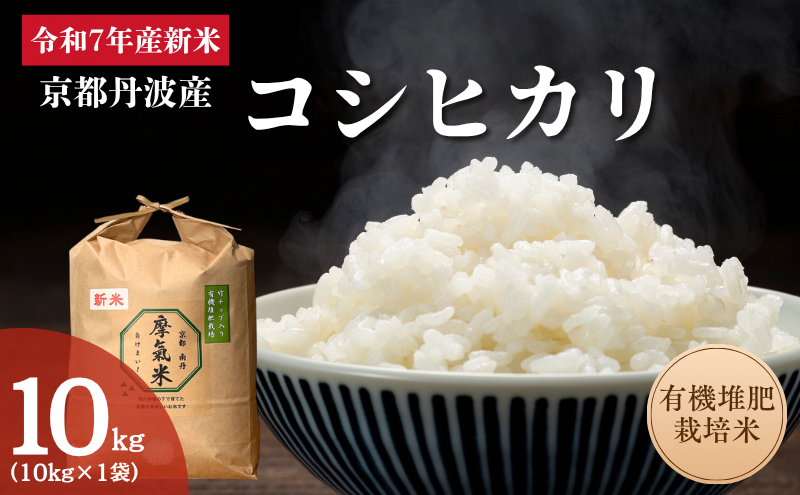 ys{Oszߘa7NYV L@͔͔| Ђ  10kg |   R  