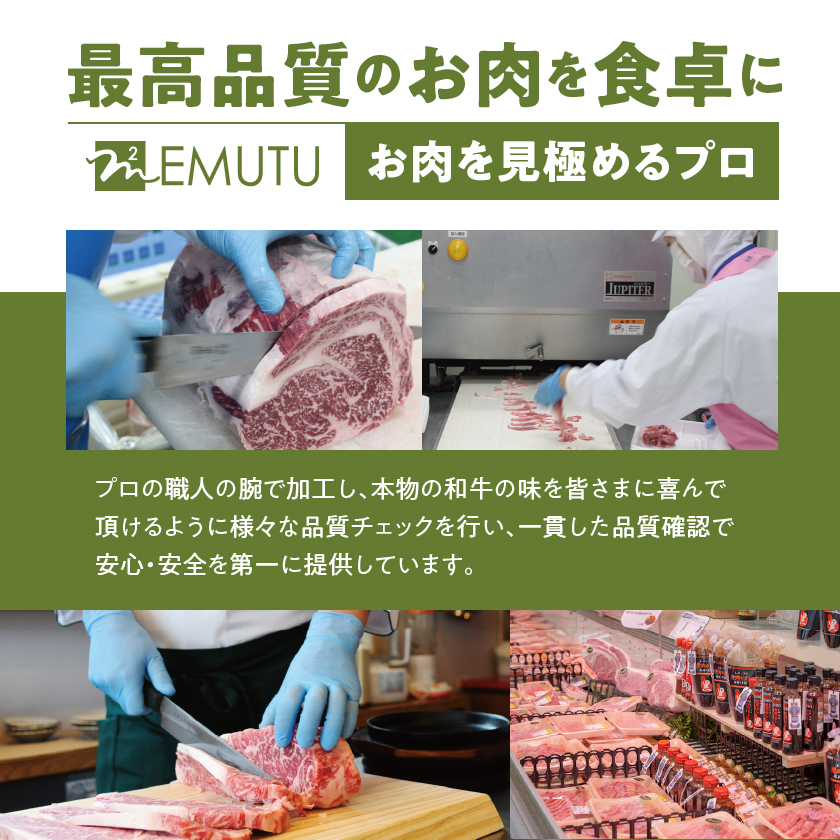 宮崎県都城市のふるさと納税 【数量限定】宮崎牛9種盛り焼肉セット_22-3101