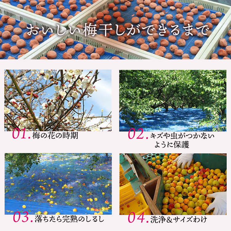 【贈答用】紀州南高梅　うす味梅　1000g　化粧箱入 | 1kg ギフト プレゼント 国産 ※北海道・沖縄・離島への配送不可