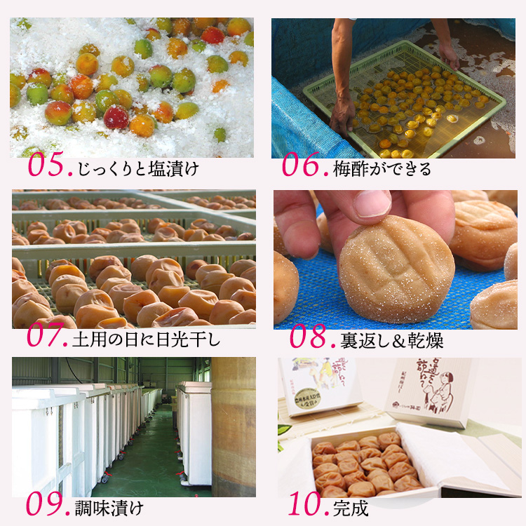 紀州南高梅　白干梅干し　1.2kg　ご家庭用 | 1200g 国産 ※北海道・沖縄・離島への配送不可