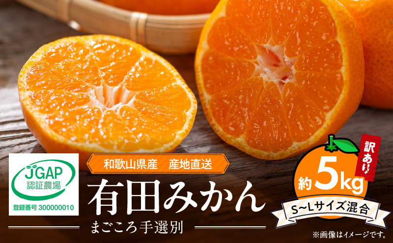 【和歌山県有田郡湯浅町】ZE6423_有田みかん 約5kg【家庭用】(S〜Lサイズ)【まごころ手選別】