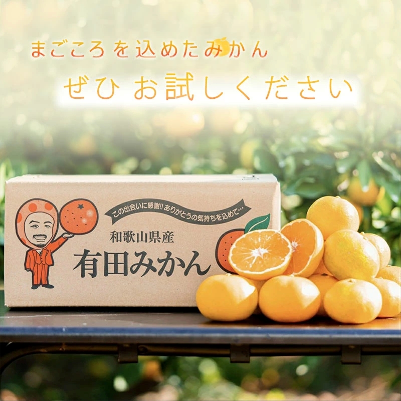 ZE6423_有田みかん 約5kg【家庭用】(S～Lサイズ)【まごころ手選別】