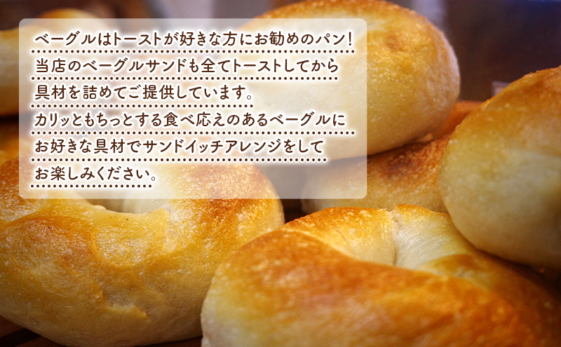 【 定期便12ヵ月】ベーグル詰め合わせ 12個 パン 国産 冷凍 ベーグル プレーン セット 詰合せ 詰め合わせ にかほ市 秋田 秋田県