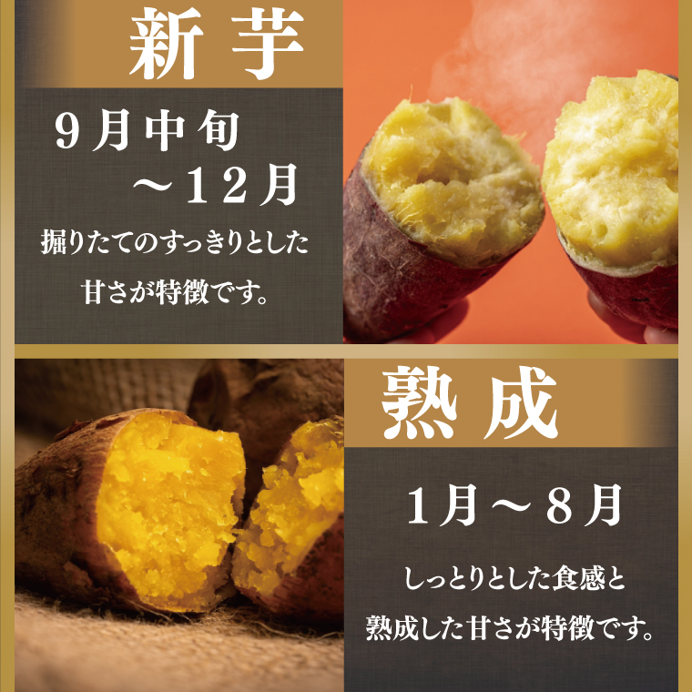 【2026年2月より順次発送】★訳あり★ 無選別 行方台地のさつまいも 紅はるか 約5kg｜訳あり ワケアリ 訳アリ さつまいも サツマイモ さつま芋 紅はるか 無選別 べにはるか 行方市 ふるさと納税(CU-317)