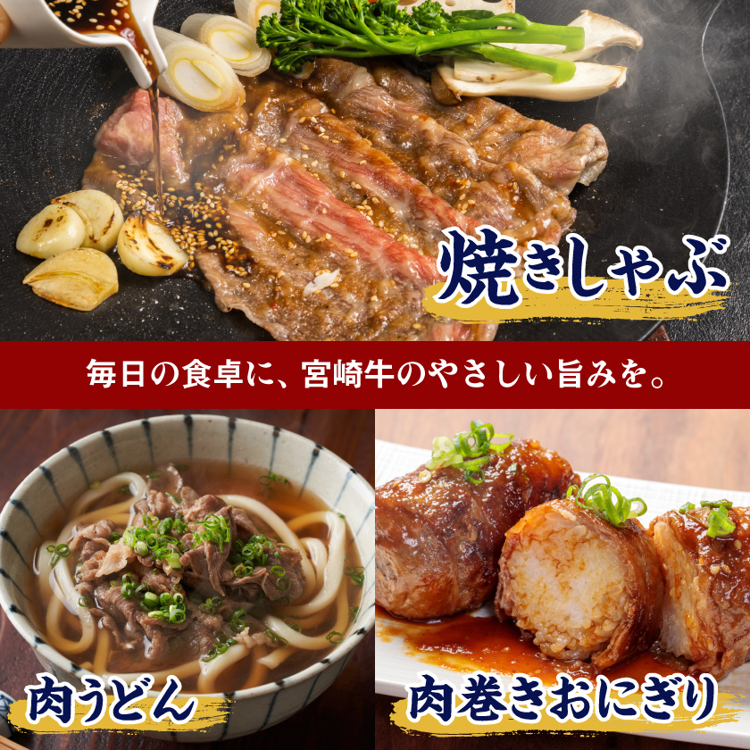 宮崎県都城市のふるさと納税 宮崎牛【赤身霜降り】すきしゃぶ700g_17-6507