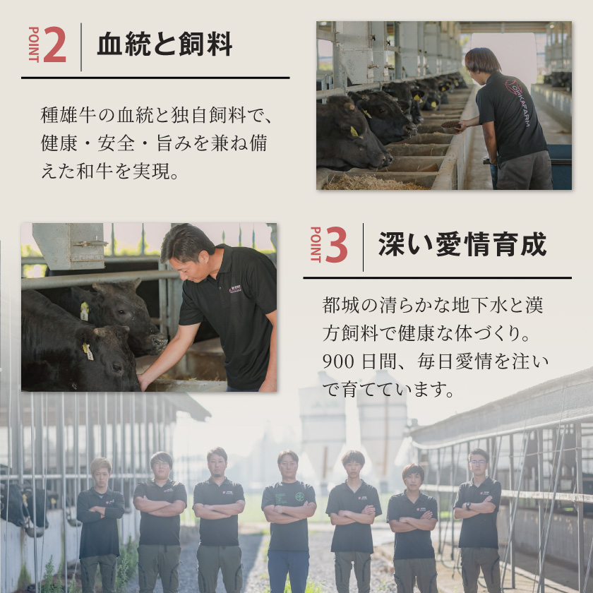 宮崎県都城市のふるさと納税 宮崎牛【赤身霜降り】すきしゃぶ700g_17-6507