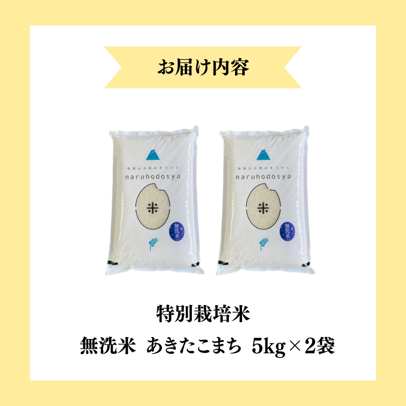 【令和7年産新米】【無洗米】特別栽培米あきたこまち5kg×2 米 コメ こめ 秋田県産 国産米