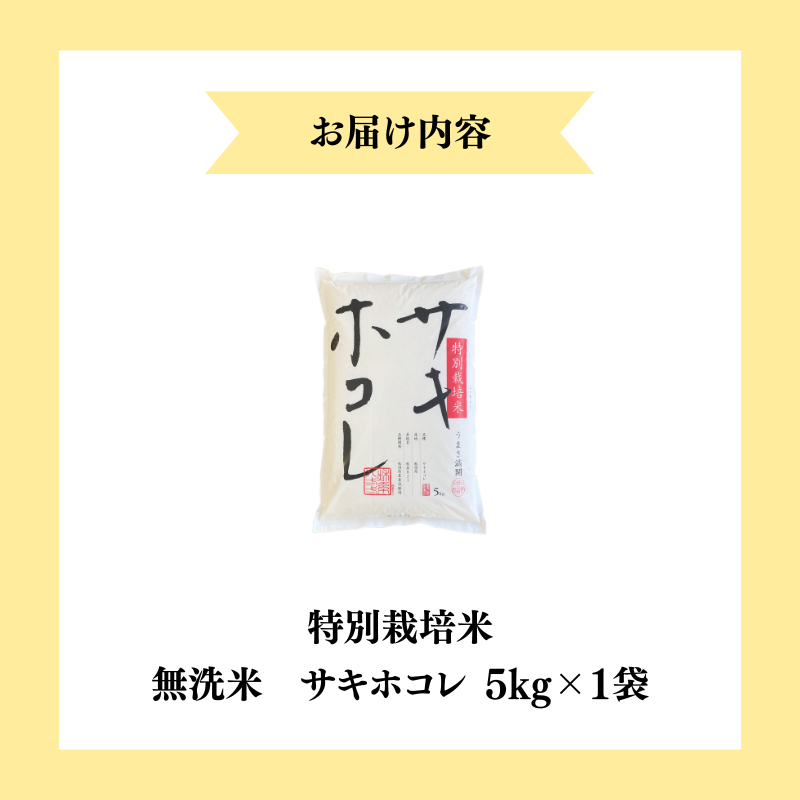 【令和7年産新米】【無洗米】特別栽培米サキホコレ5kg×1 米 コメ こめ 秋田県産 国産米
