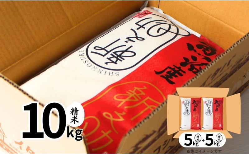 【定期便全6回毎月発送】魚沼産新之助(精米)　10kg 米 定期 新潟 十日町市