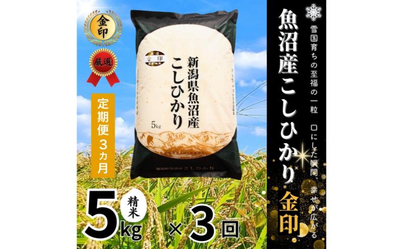 【定期便全3回毎月発送】魚沼産コシヒカリ金印(精米)5kg 米 こしひかり 定期 新潟 魚沼市