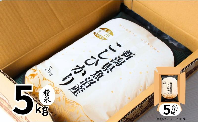 【定期便全3回毎月発送】魚沼産コシヒカリ金印(精米)5kg 米 こしひかり 定期 新潟 十日町市