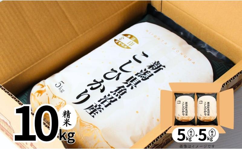 【定期便全3回毎月発送】魚沼産コシヒカリ金印(精米)10kg 米 こしひかり 定期 新潟 魚沼市