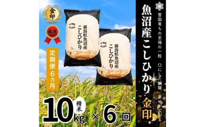 【定期便全6回毎月発送】魚沼産コシヒカリ金印(精米)10kg 米 こしひかり 定期 新潟 魚沼市