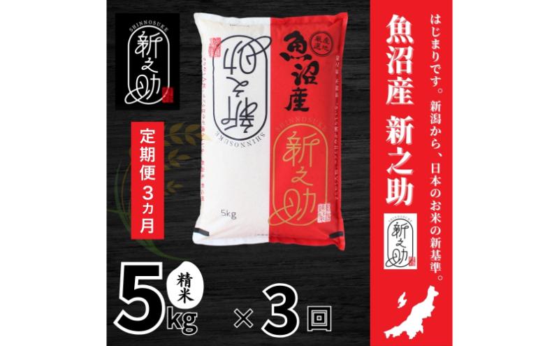 【定期便全3回毎月発送】魚沼産新之助(精米)　5kg 米 定期 新潟 魚沼市