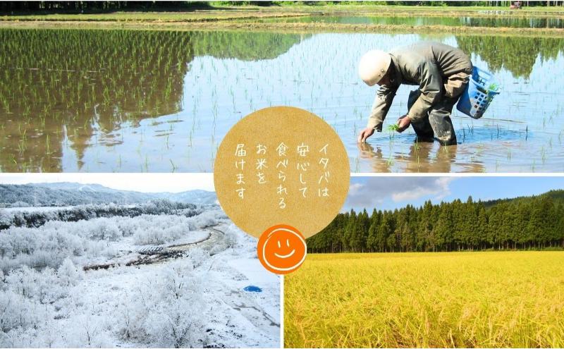 【定期便全3回毎月発送】魚沼産新之助(精米)　5kg 米 定期 新潟 魚沼市