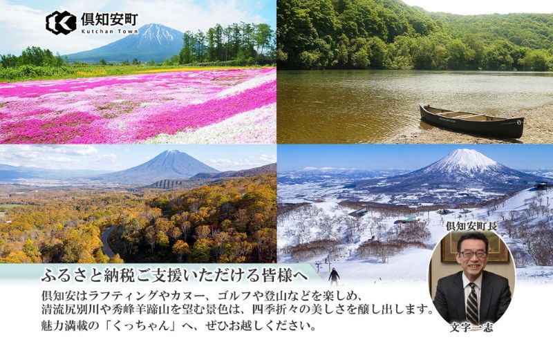 【CF】北海道産トイレットペーパー ダブル48個＆ティッシュペーパー15個セット 雑貨 日用品 