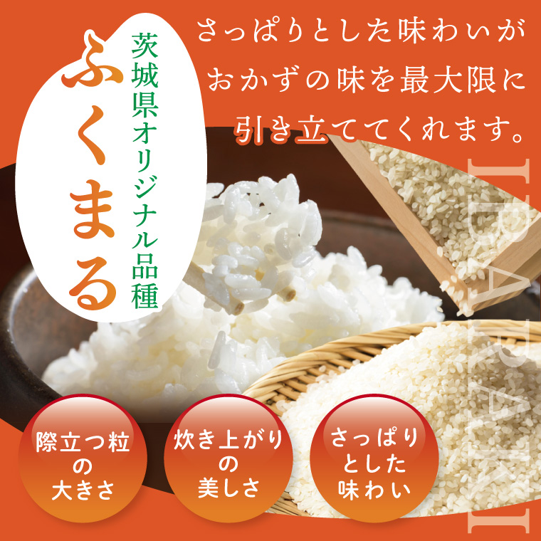 【数量限定】★茨城県オリジナル品種★R7年産 ふくまる 白米30kg|お米 米 ふくまる 白米 茨城県 取手市（BQ003）