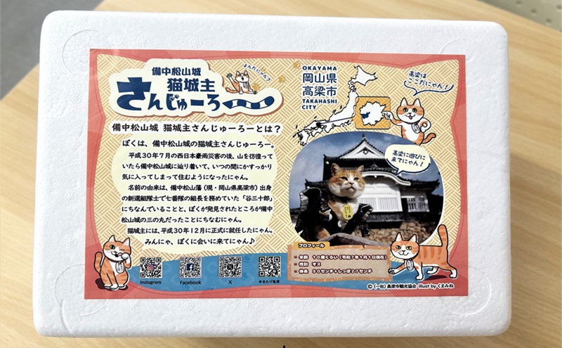 さんじゅーろー 最中アイス 詰め合わせ セット（6個入り） 