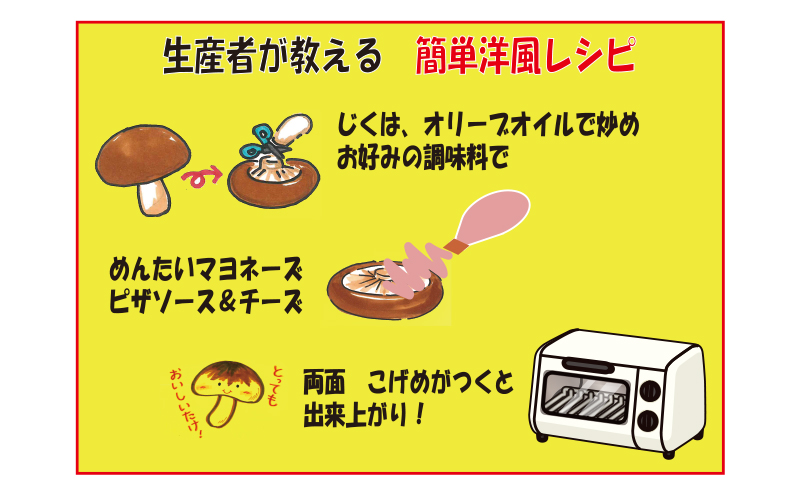 赤目滝清流で栽培した肉厚しいたけ（菌床）2kg　椎茸　三重県産
