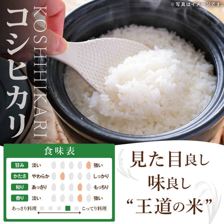 茨城県北茨城市産 お米2種食べ比べセット【お米 米 コメ こめ こしひかり 北茨城市 茨城県】(DE002)