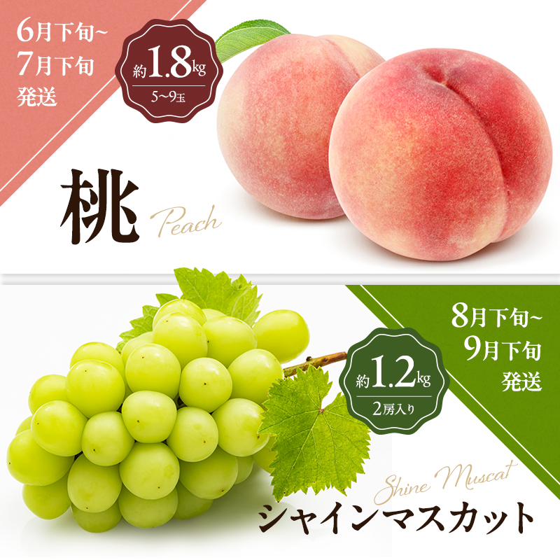 讃岐のフルーツ6回定期便【C】【さぬきひめ苺】【デコポン】【桃】【シャインマスカット】【香緑キウイ】【小原紅(さぬき紅みかん)】