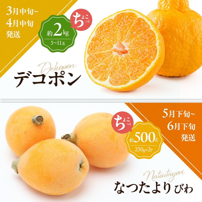 讃岐のちょこっとフルーツ定期便（全8回）【香緑キウイ】【さぬきひめ苺】【デコポン】【なつたより(びわ)】【さぬきの桃】【さぬきゴールドキウイ】【さぬきキウイっこ】【小原紅早生みかん】