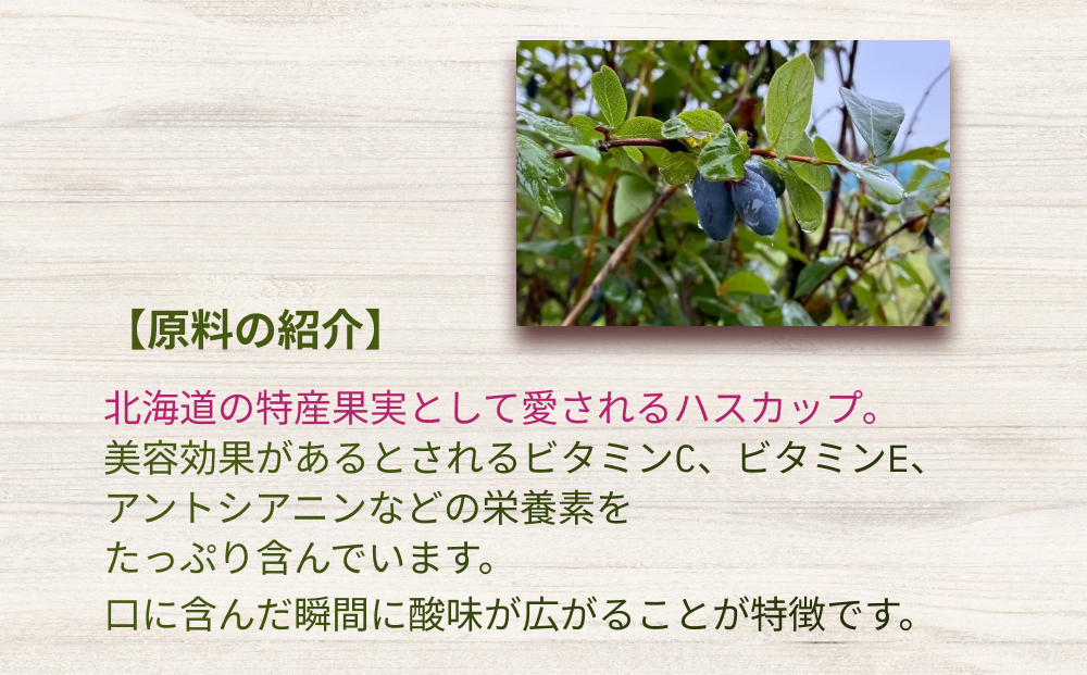 北海道産 ハスカップ 発酵酢 SUNOMO 希釈タイプ 計 4500ml （ 375ml × 12本 ） 飲むお酢 果実酢 フルーツ ビネガー