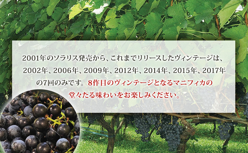 日本ワイン ソラリス マニフィカ 750ml 1本 赤ワイン マンズワイン 酒 お酒 洋酒 果実酒 ぶどう酒 長野 長野県小諸市