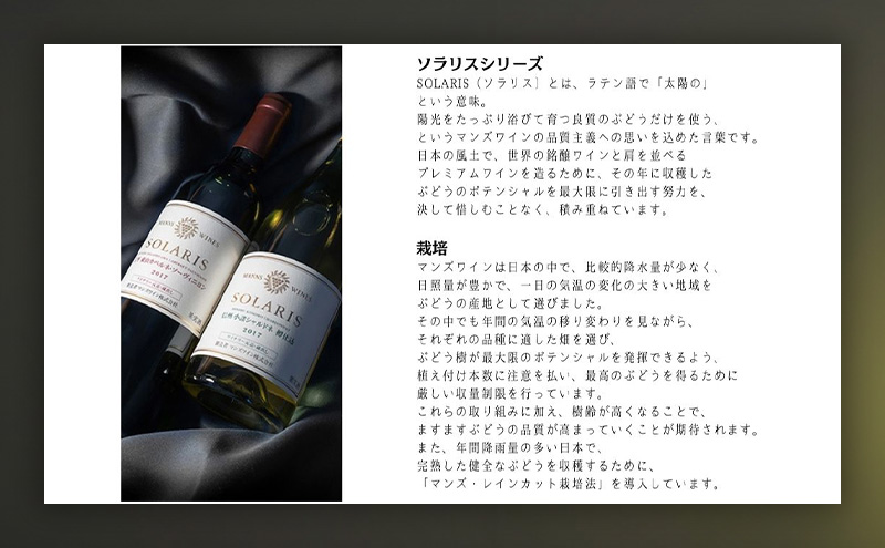 日本ワイン ソラリス マニフィカ 750ml 1本 赤ワイン マンズワイン 酒 お酒 洋酒 果実酒 ぶどう酒 長野 長野県小諸市