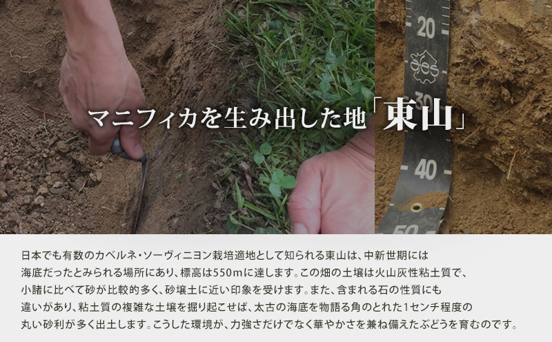 日本ワイン ソラリス マニフィカ 750ml 1本 赤ワイン マンズワイン 酒 お酒 洋酒 果実酒 ぶどう酒 長野 長野県小諸市