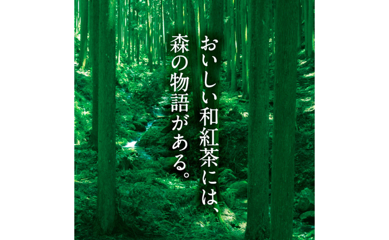 森からの和紅茶　はじまり5セット（15袋入）〈紅茶 お茶 茶 茶葉 和紅茶ティーバッグ 飲料〉
