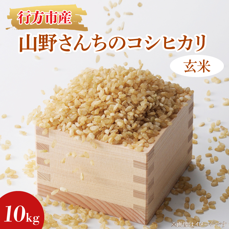 茨城県行方市のふるさと納税 ★令和7年度産★山野さんちのコシヒカリ 10kg(玄米)｜米 お米 こめ こしひかり コシヒカリ 令和7年産 R7年産 新米 玄米 茨城県 行方市(BR-5-1)