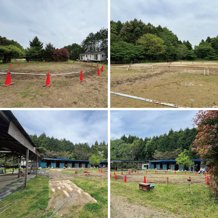 Shiina Riding Club　乗馬体験30分【茨城県 北茨城市 アクティビティ おでかけ レンタル 体験 チケット 馬】（DA001）