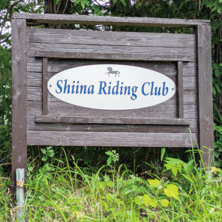 Shiina Riding Club　乗馬体験30分【茨城県 北茨城市 アクティビティ おでかけ レンタル 体験 チケット 馬】（DA001）