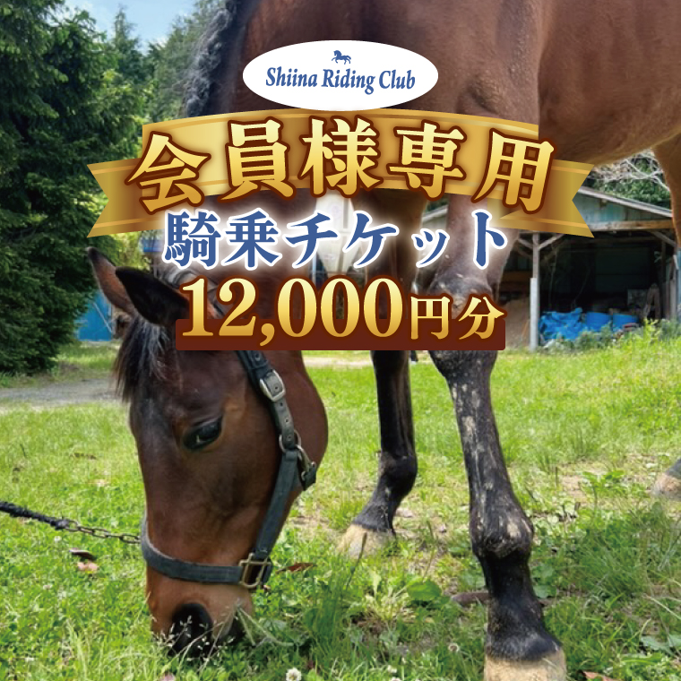 y錧kszShiina Riding Club@lgR`Pbgi12,000~jy錧 ks ANeBreB ł ̌ `Pbg n nziDA004j
