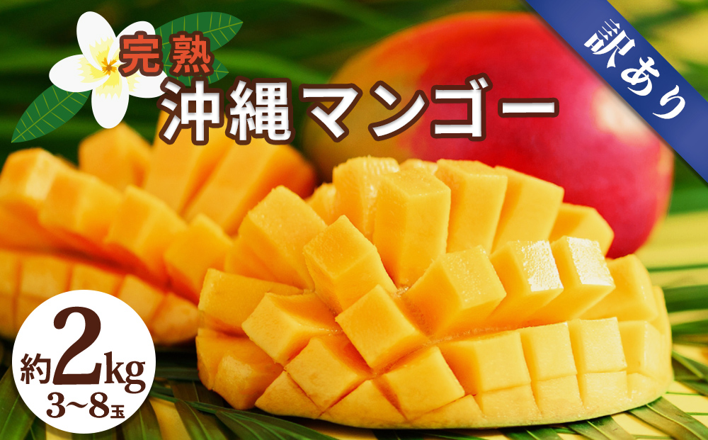 【沖縄県うるま市】沖縄県産 訳ありマンゴー 2kg【 先行予約 2026年発送 】