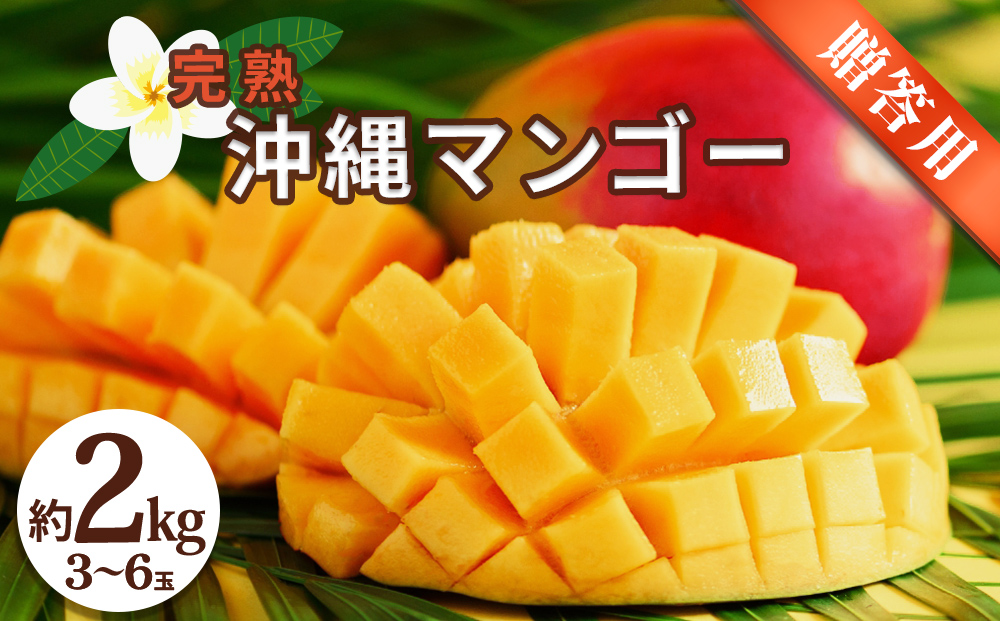 【沖縄県うるま市】沖縄県産 贈答用マンゴー 2kg【 先行予約 2026年発送 】