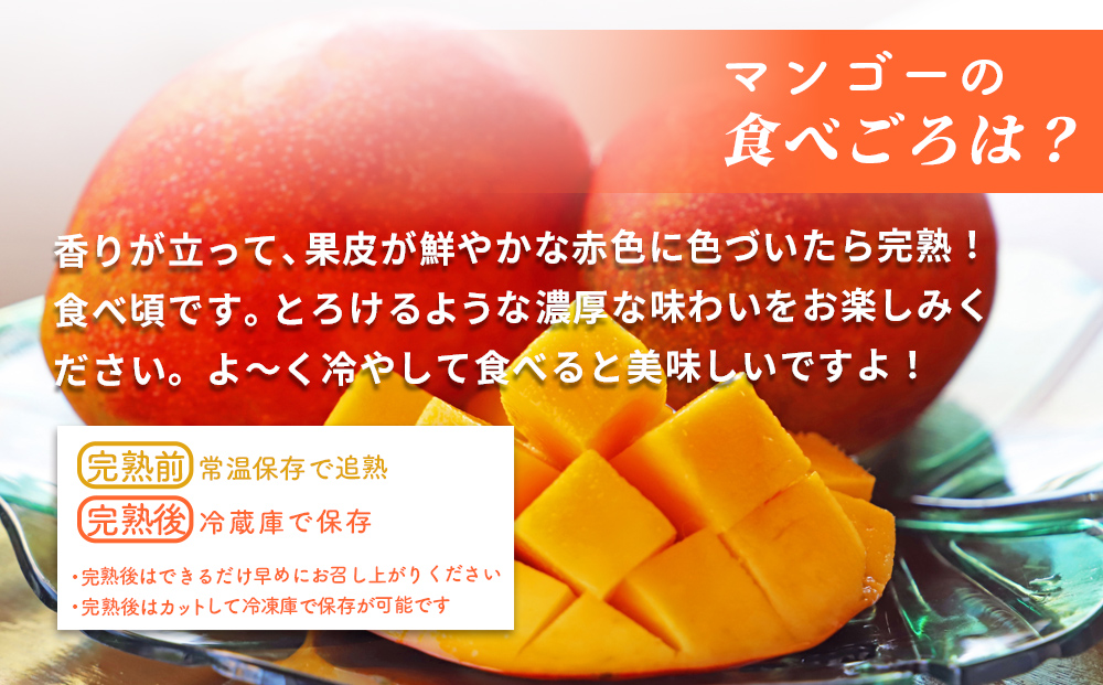 沖縄県産 贈答用マンゴー 2kg【 先行予約 2026年発送 】